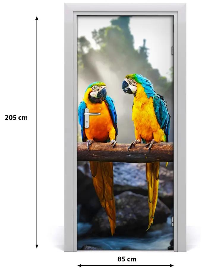 Ajtó tapéta papagájok ara 75x205 cm