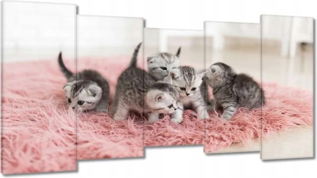 Képek 150x80 Cica Cicák