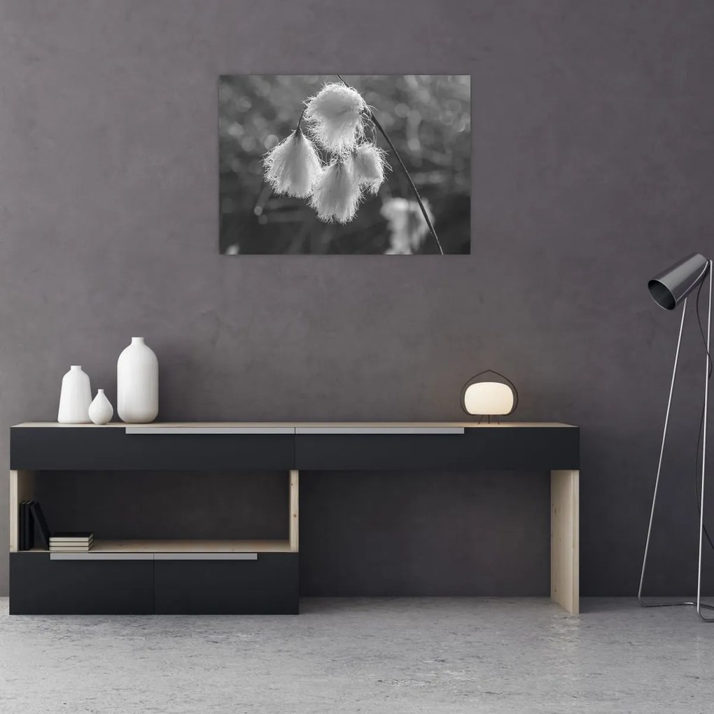 Kép - Cottongrass (70x50 cm)