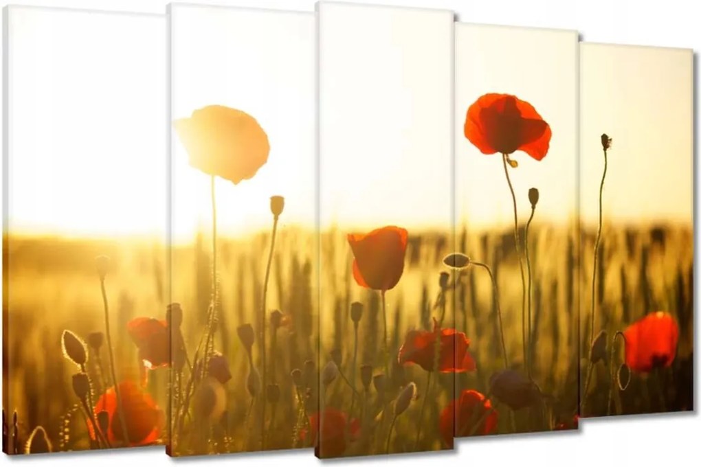 Képek 150x95 Pipacsok napfelkeltekor