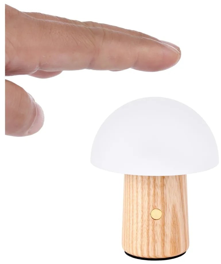 Natúr színű kőrisfa LED dimmelhető asztali lámpa (magasság 7 cm) Alice – Gingko