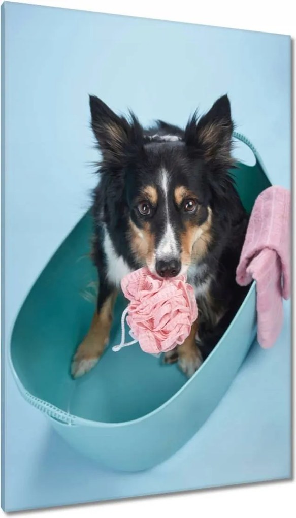 Vászonkép 80x120 Kutya fürdetése a kádban