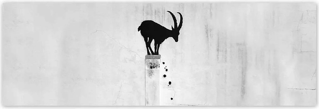 Fotótapéták 200x66 Kozica Banksy Gazella hegyi Nincs magánélet Falfestmény