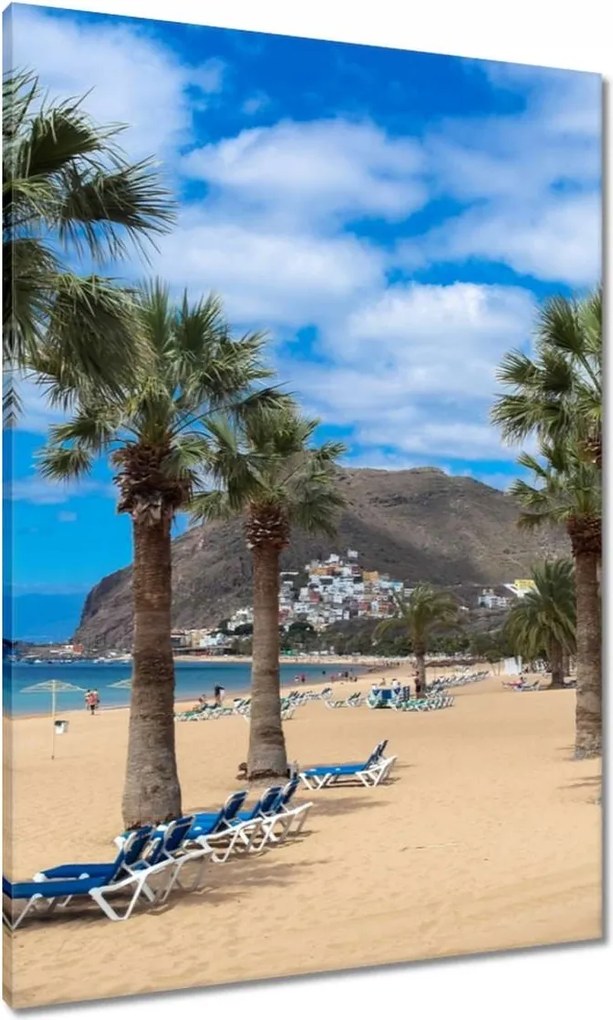 Vászonkép 70x100 Nagy pálmafák a tengerparton