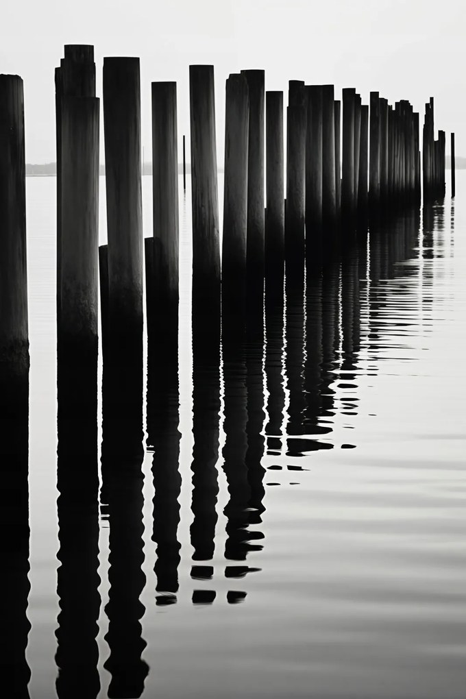 Poszter 40x60cm Víz és fa ritmusa