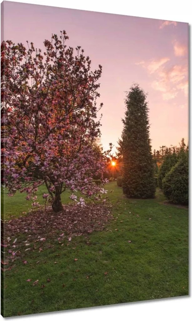 Festmények 70x100 Kilátás Tájkép