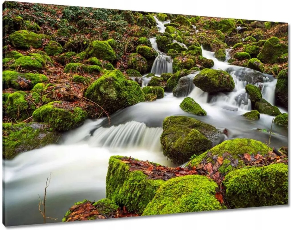 Vászonkép 100x70 Hegyi tájkép patakkal Patak a hegyekben