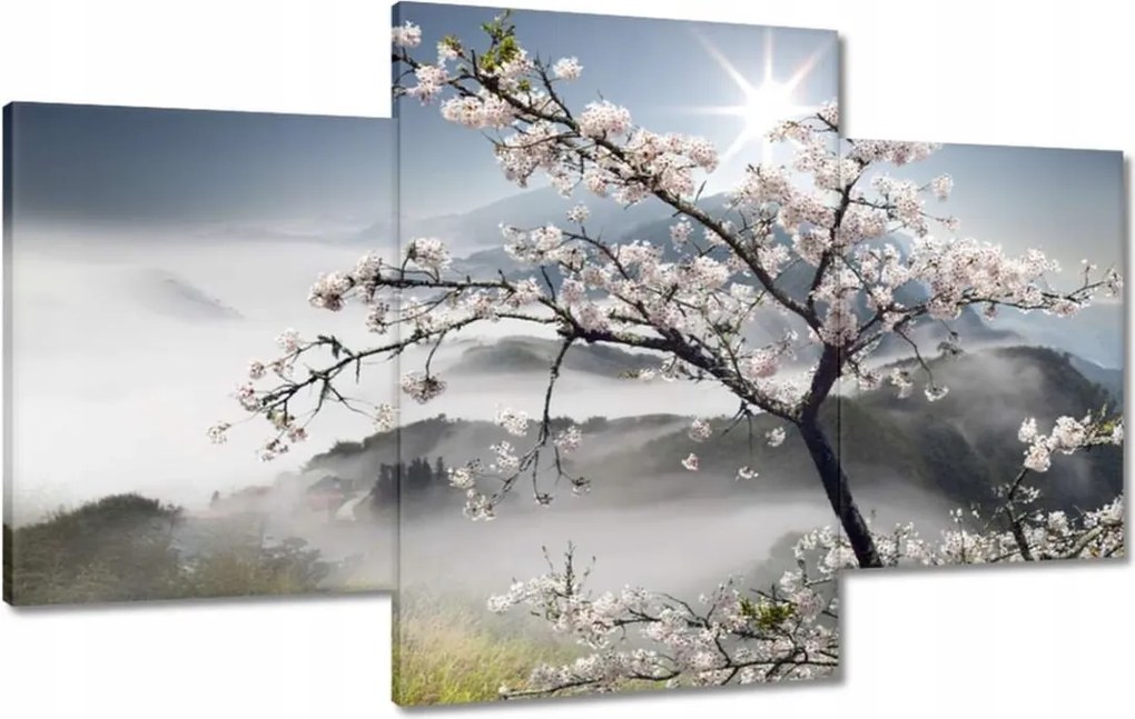 Vászonkép 100x60 Japán Virágzó cseresznye