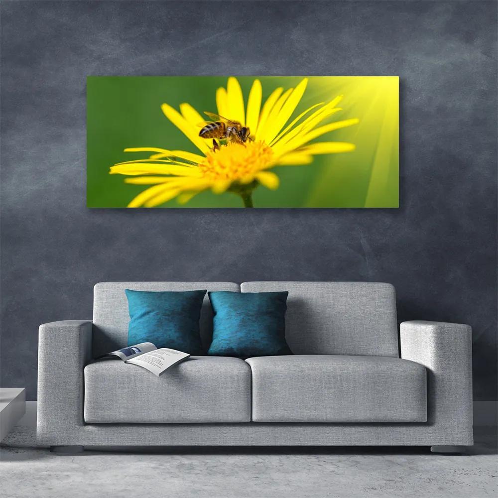 Vászonkép falra Bee Virág Természet 120x60 cm
