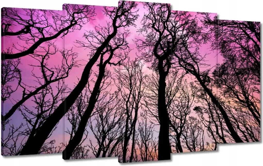 Vászonkép 100x60 Erdő Fák Kilátás alulról