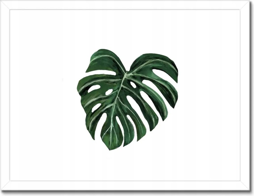 Poszterek keretben 40x30 Monstera deliciosa Levél