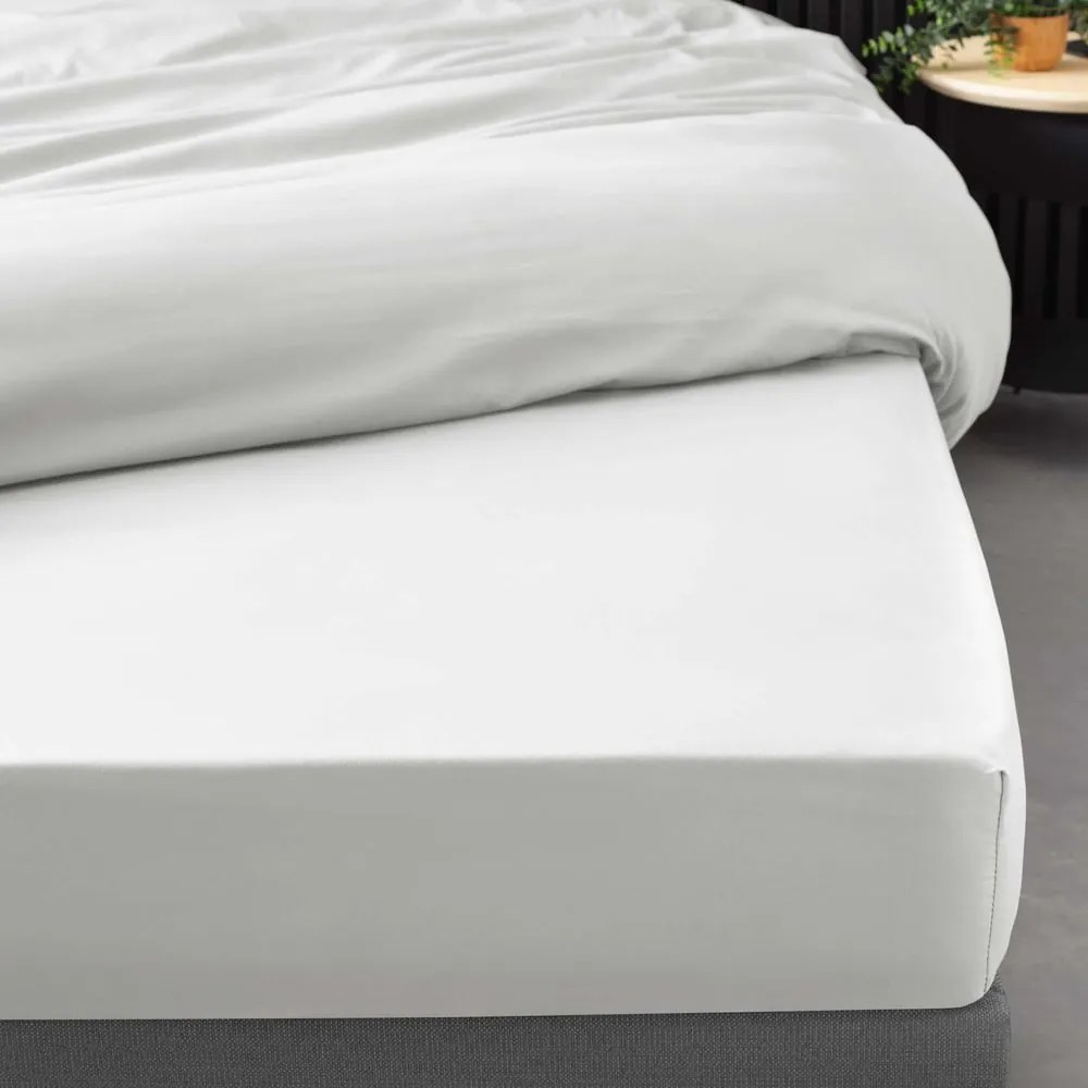Fehér gumis pamut-perkál lepedő 180x200 cm Percaline – douceur d'intérieur