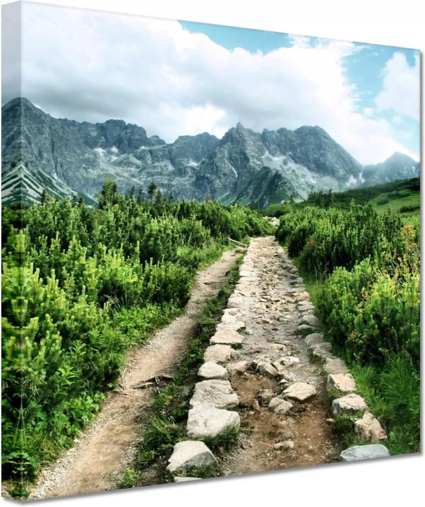 Festmények 20x20 Kő út Tátra