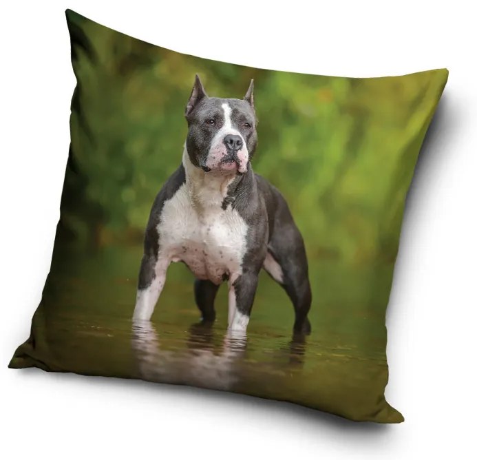 Kutyás Amstaff párnahuzat 40x40 cm