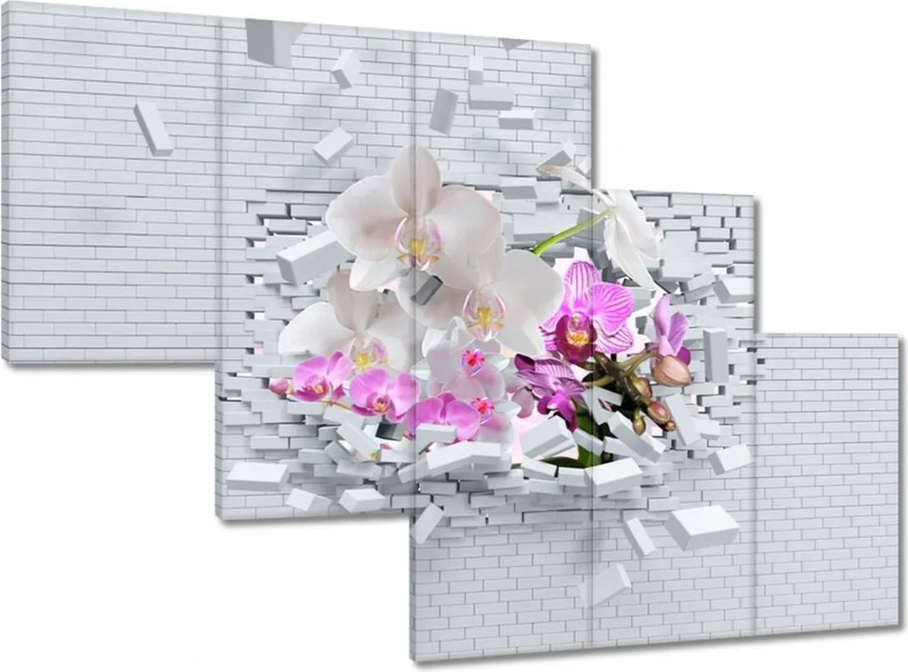 Festmények 150x105 Orchidea a falban