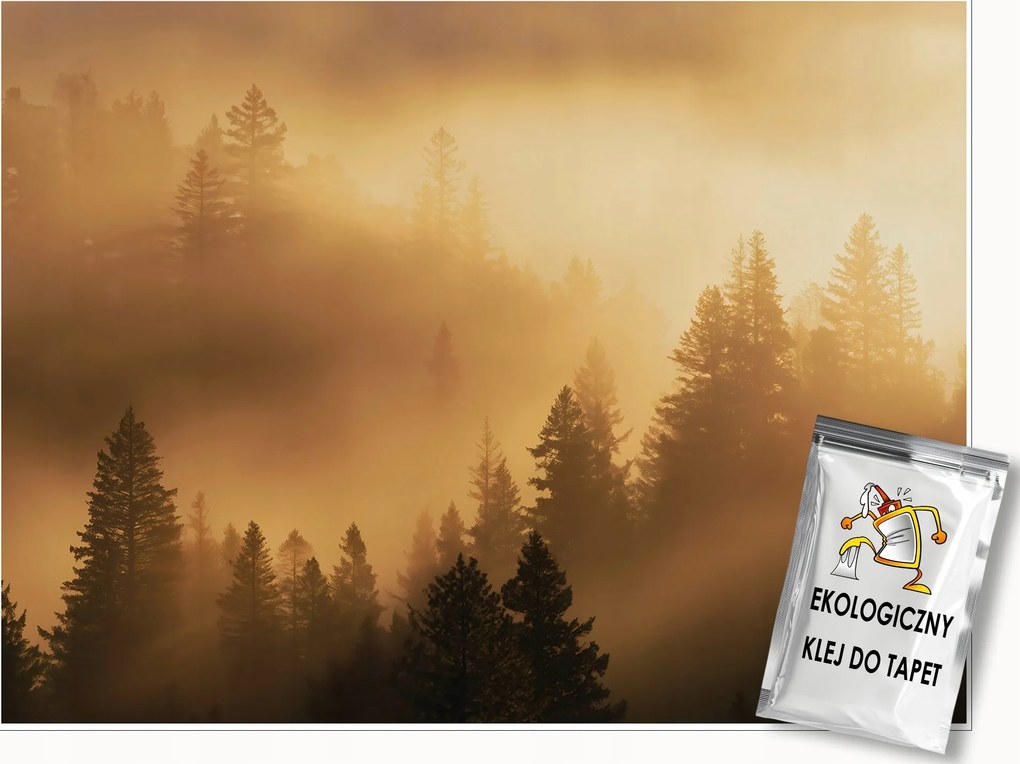 Fotótapéta Erdő A Ködben Bézs 3D Hálószoba Nappali Tapéta Flizelina 150x105