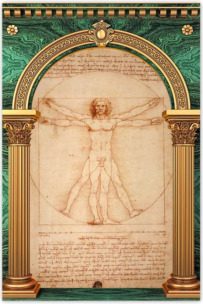 Poszterek 80x120 Vitruvius ember