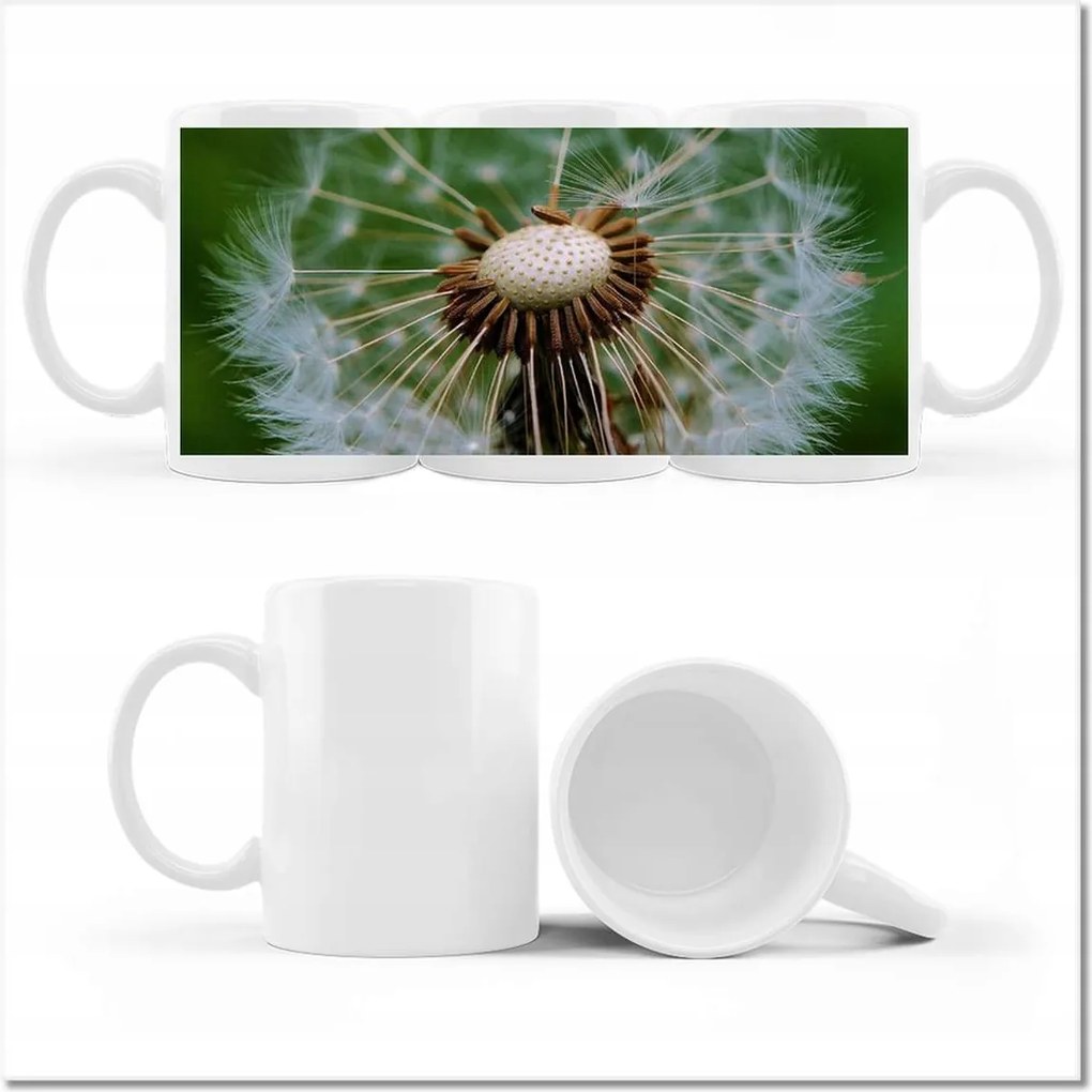 Pitypang fényképes bögre Virág Virágok