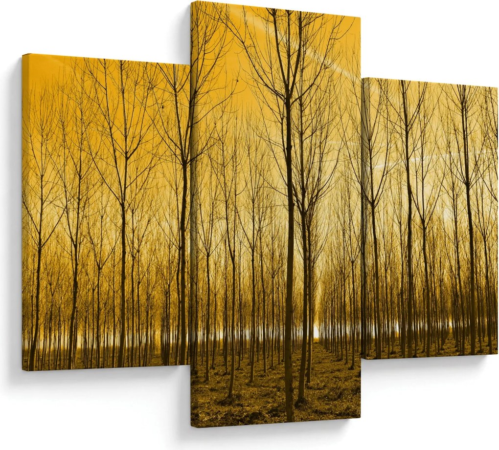 Kép - Faültetvény (90x60 cm)