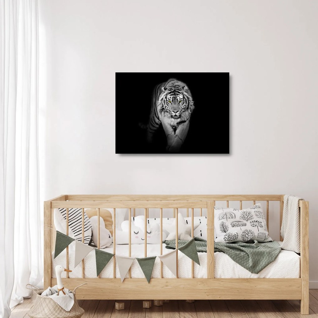 Üveg kép - Sárga szemű tigris (70x50 cm)