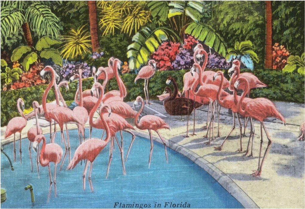 Tapéta Flizelin Falfestmény Prémium Egzotikus jelenet 152x104 Ragasztó