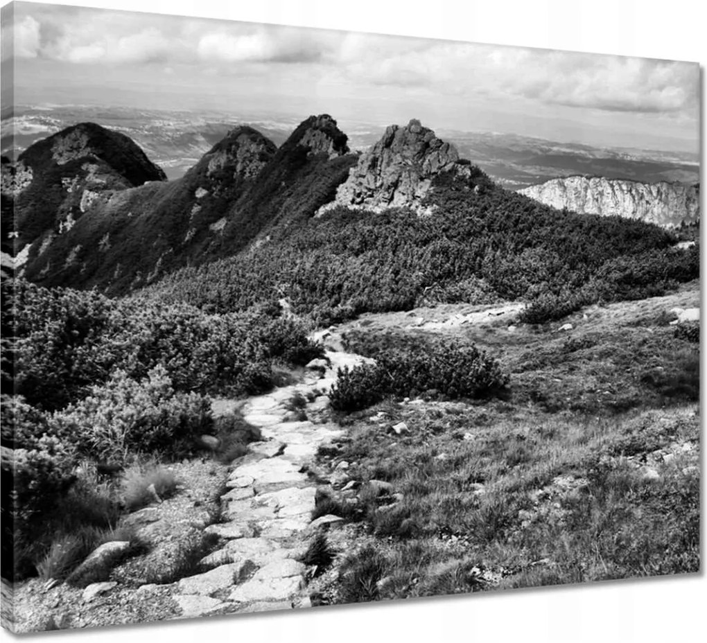 Vászonkép 50x40 Tátra Lengyel hegyek Kilátás