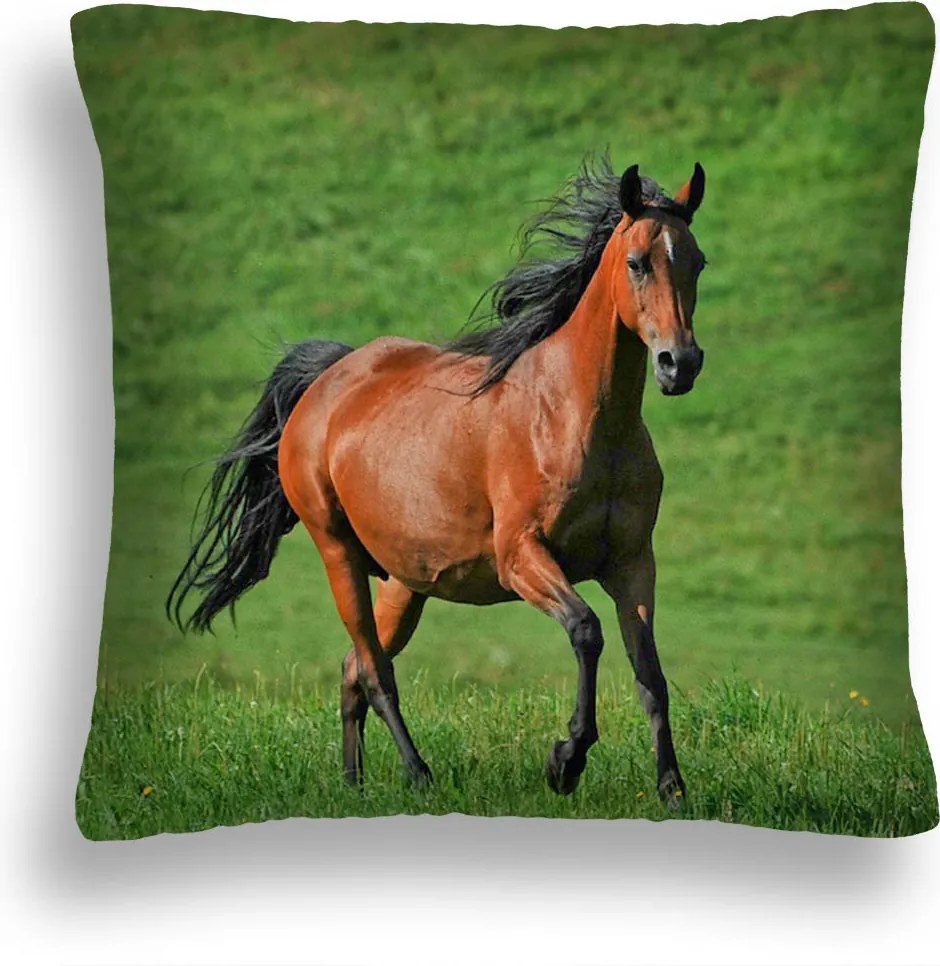 Párna 40x40 Párnahuzat Fűbetét Grass Ló 23