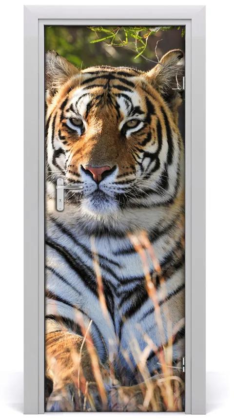 Ajtóposzter Tigris 95x205 cm
