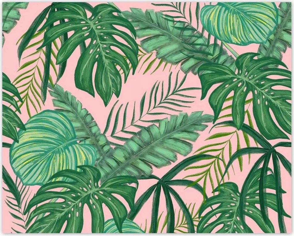 Poszterek 50x40 Házi dzsungel