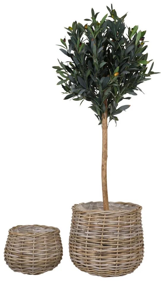 Pulo kosarak, kubu rattan, natúr 2 db