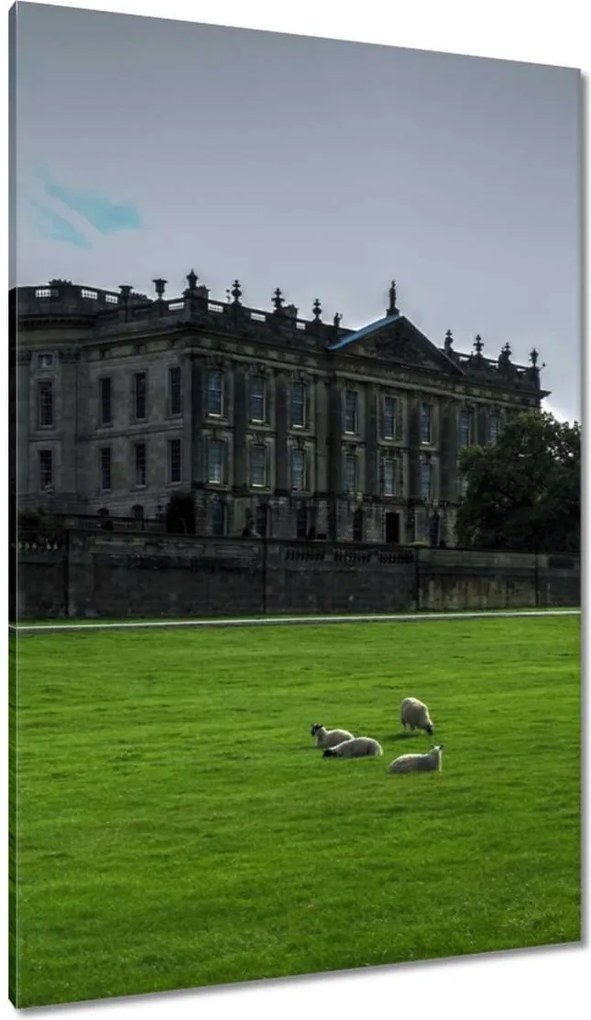 Vászonkép 80x120 Party hangulat