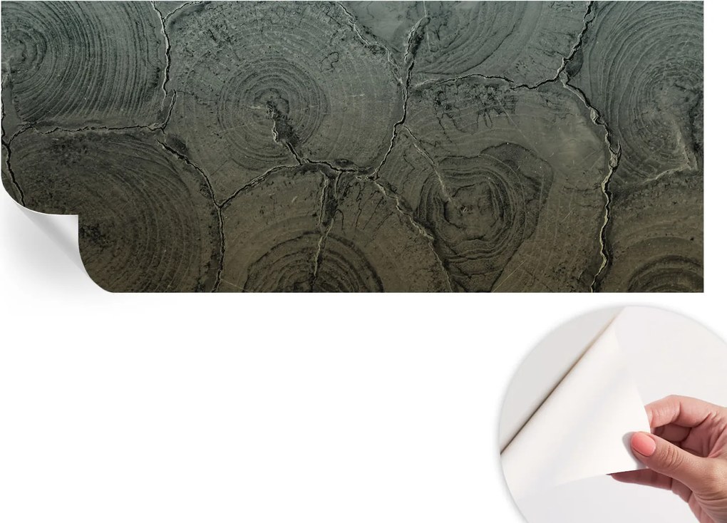 Öntapadós tapéta Divatos 3D fali ragasztóval Fa tégelyek 250x104 cm