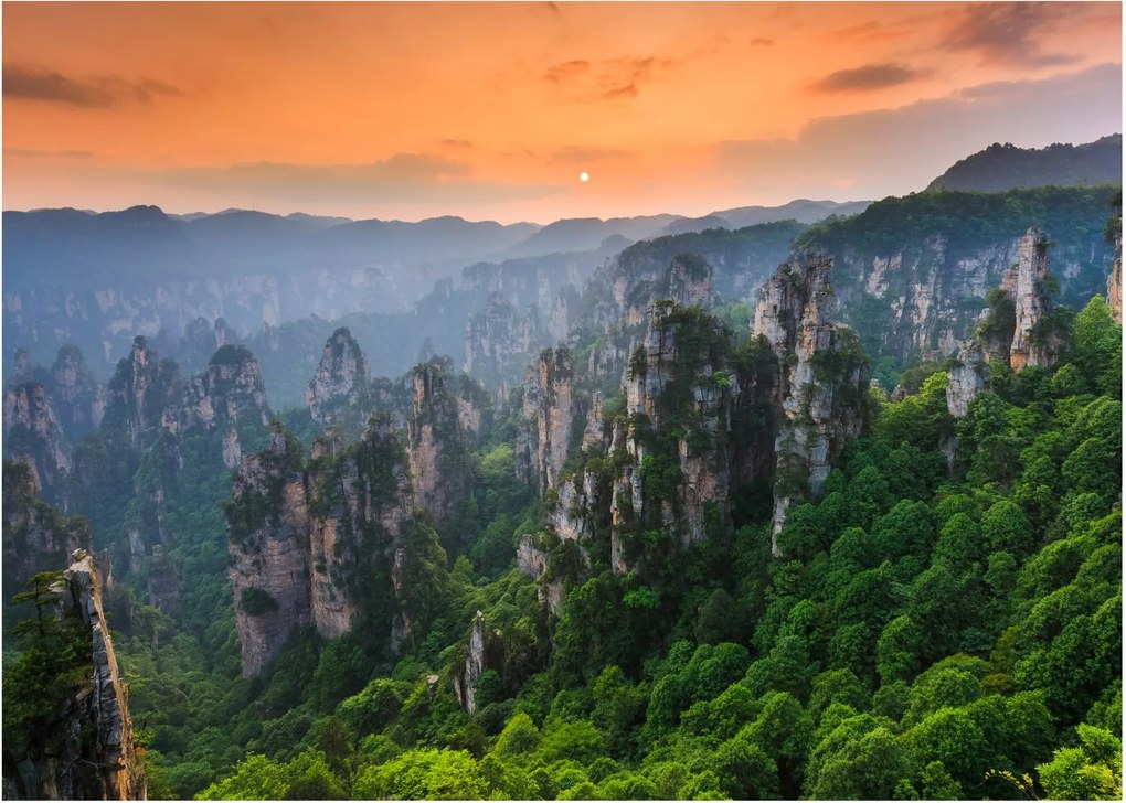 Kép - Zhangjiajie Nemzeti Erdei Park (70x50 cm)