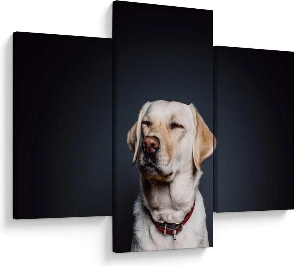 Labrador képe (90x60 cm)