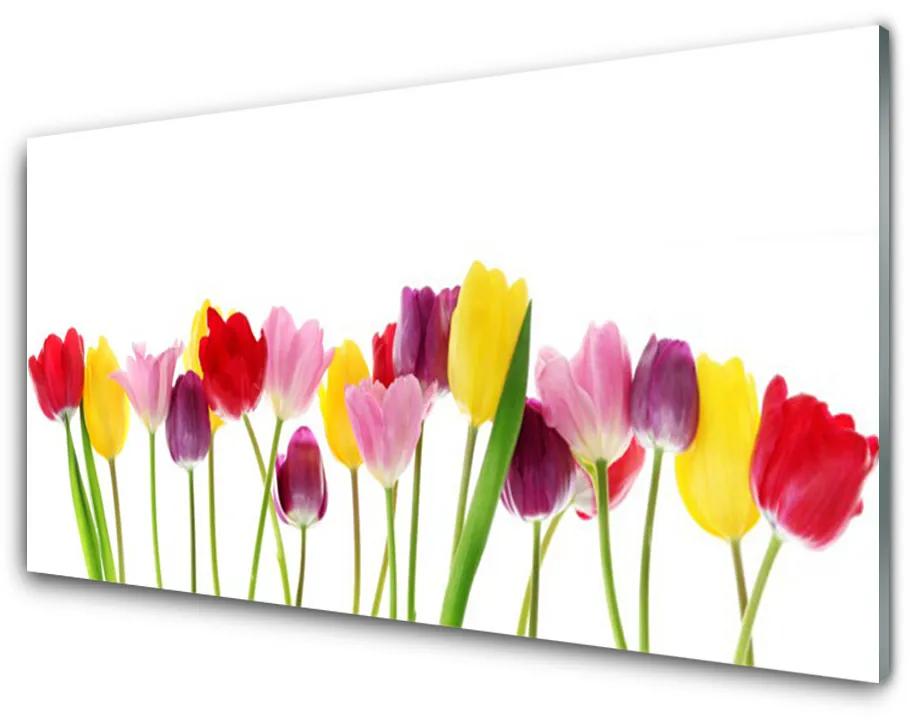 Modern üvegkép Tulipán virágok Plant 140x70 cm