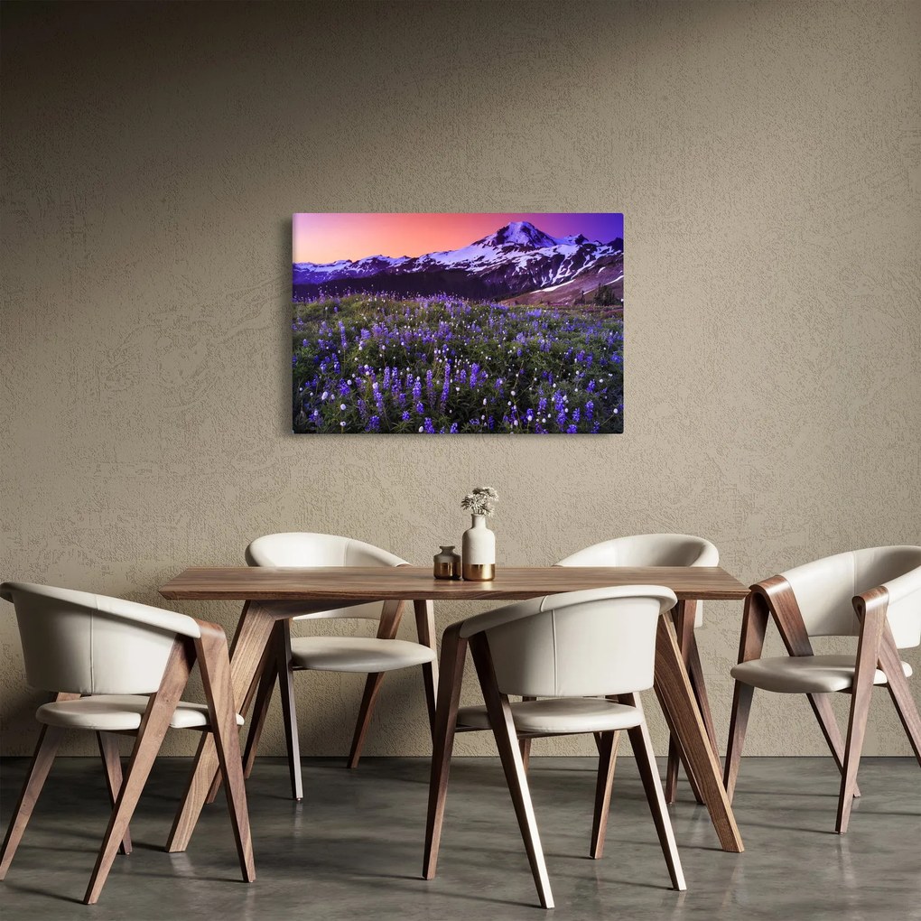 Kép - Vulkán és a virágok (90x60 cm)