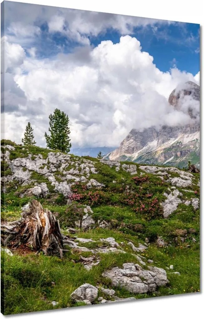 Vászonkép 60x80 Hegyi kilátás Tájkép