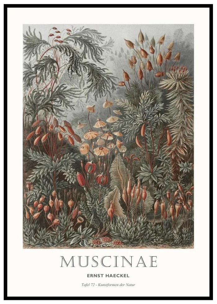 Kép 51x71 cm Tafel 72 – Malerifabrikken