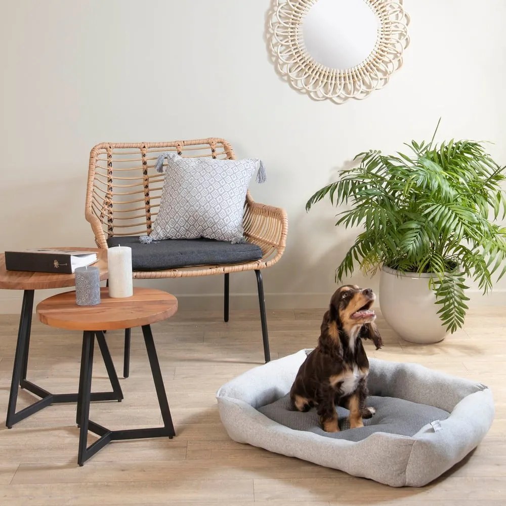 Szürke fekhely kutyáknak 40x55 cm – Love Story