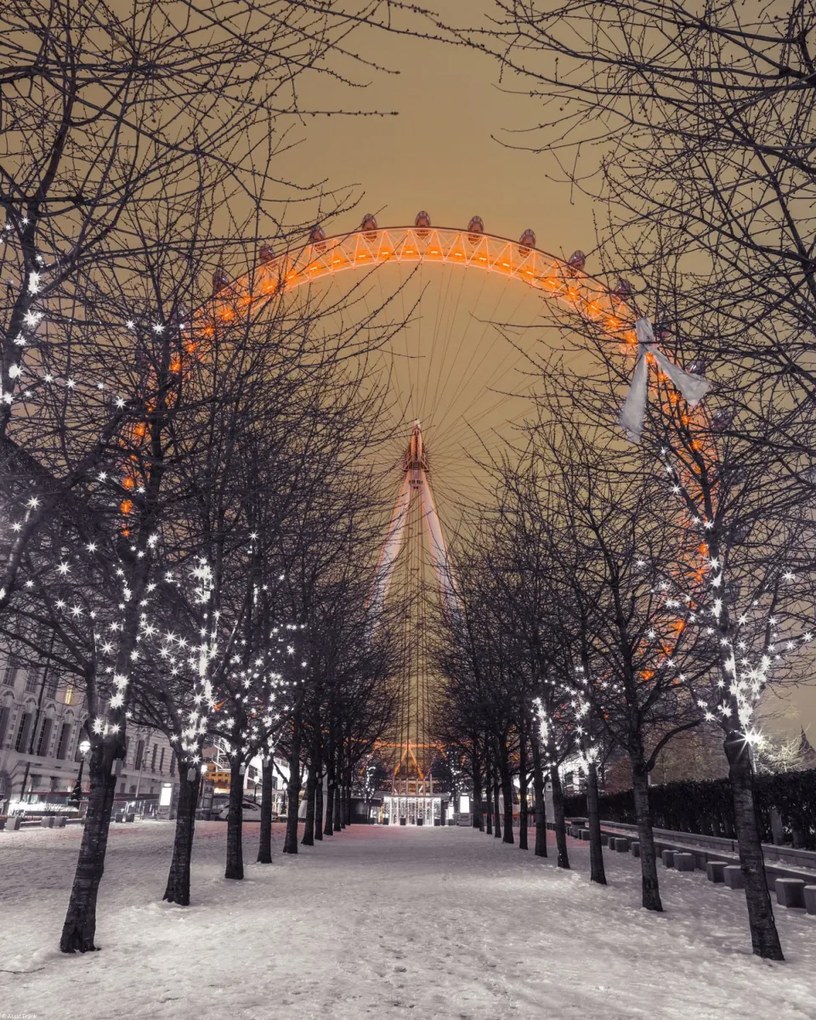 Poszter 40x50cm London Eye éjszaka fákkal, Assaf Frank