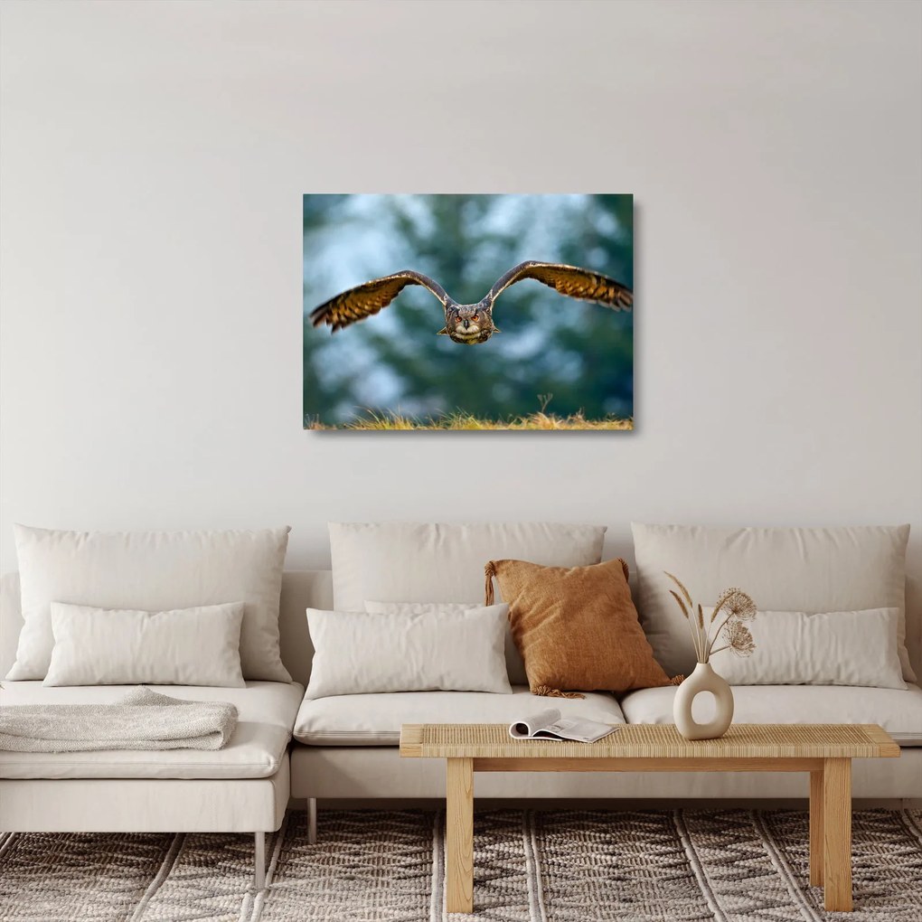 Kép - Bagoly repülés közben (üvegen) (70x50 cm)