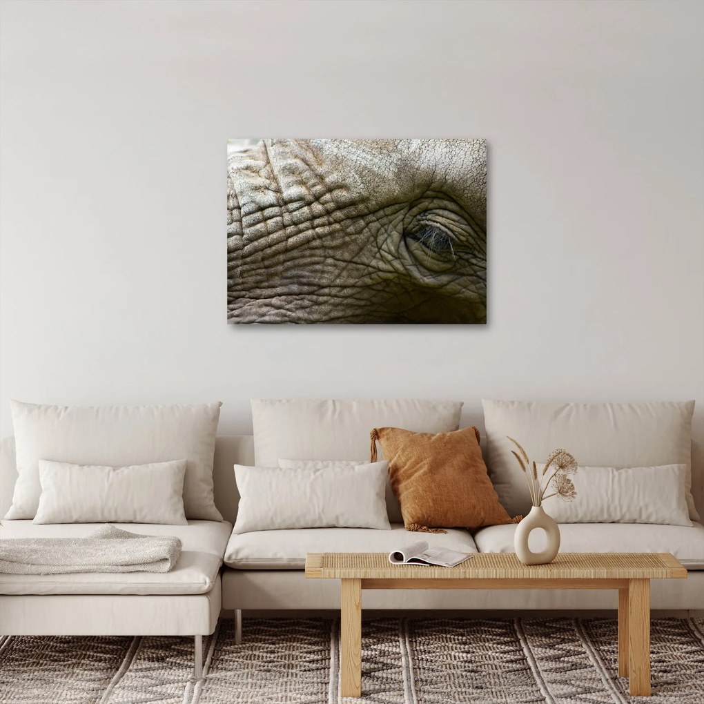 Kép - Közelkép az öreg elefánt szeméről (70x50 cm)