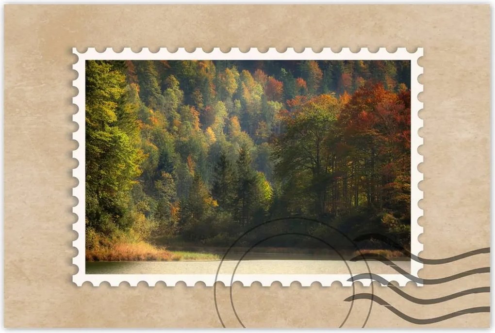 Poszterek 60x40 Erdei táj Kilátás