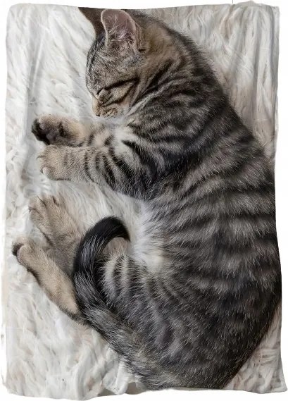 Alvó Takaró Hatalmas Macska 3D Hatás Vicces Macska Cica Nagy Takaró 150x200