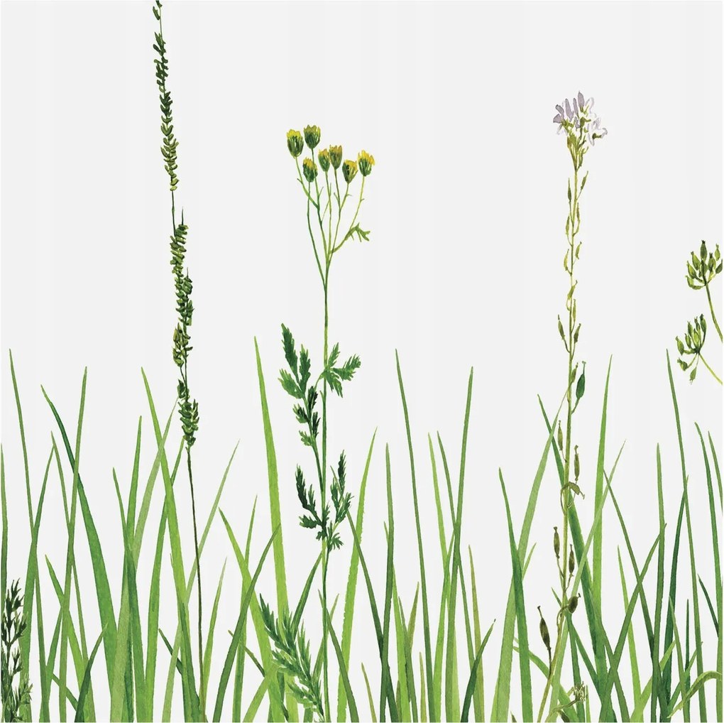 Flizelin fotótapéta Flizelin Design Finom növényvilág 250x250