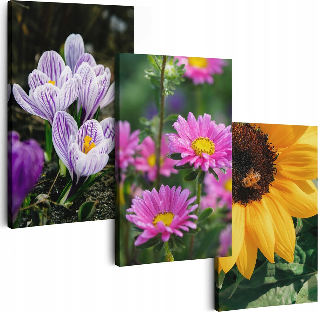 Vászonkép 180 cm **többféle minta** Nappali Képek Triptichon Virágok