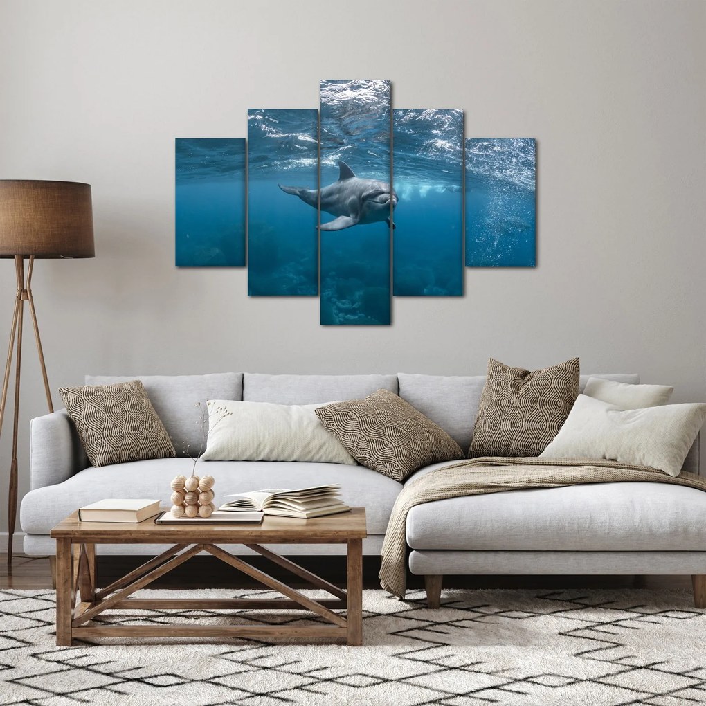 Kép - Delfin a felszín alatt (150x105 cm)