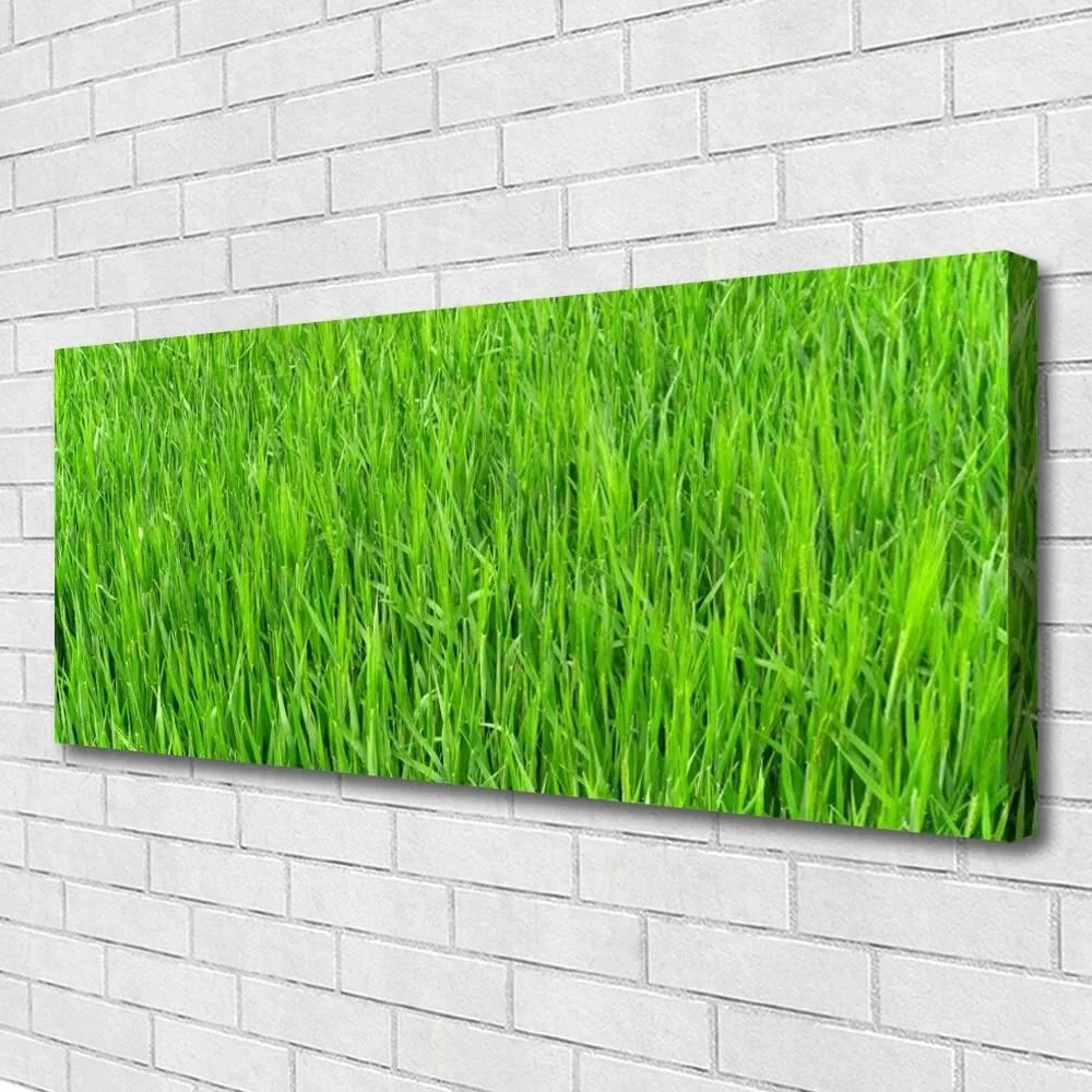 Canvas kép Nature Green Grass Turf 140x70 cm