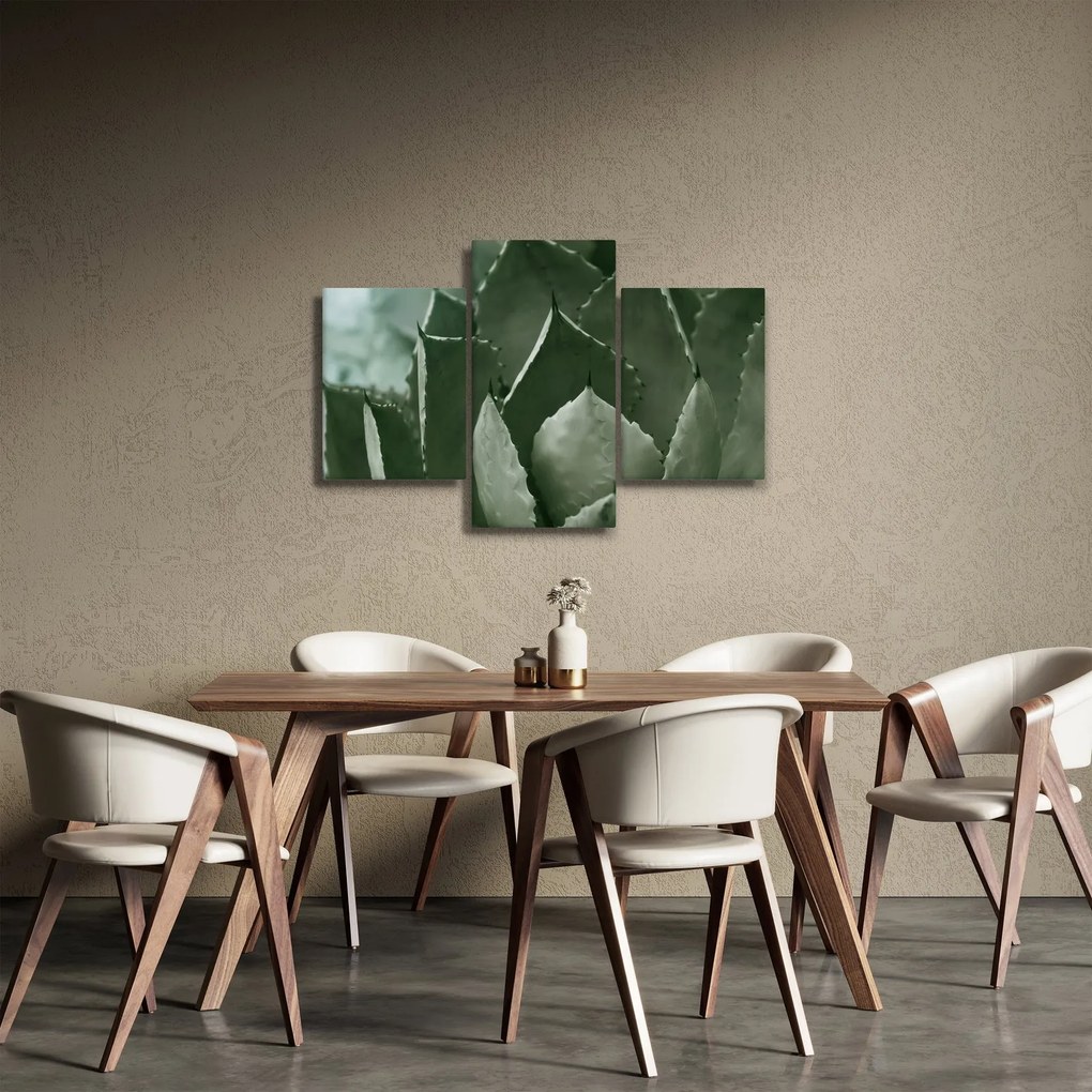 Kép - Zöld agávé (90x60 cm)