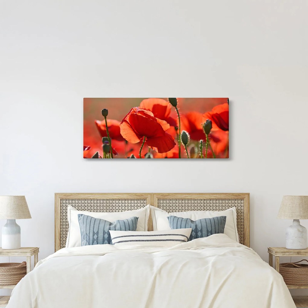 Pipacsok képe (120x50 cm)
